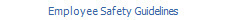Employee Safety Guidelines